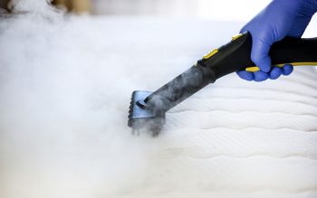 Enlever Taches Moisissures Matelas